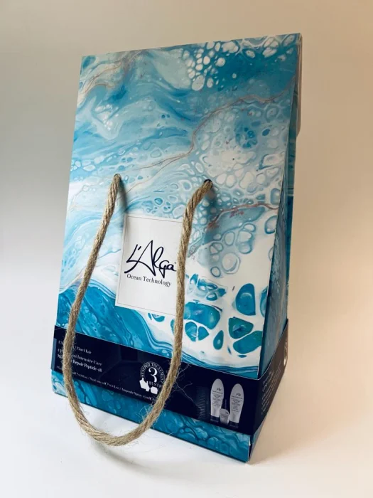 GEANTA DE LUX REPARARE PAR FIN