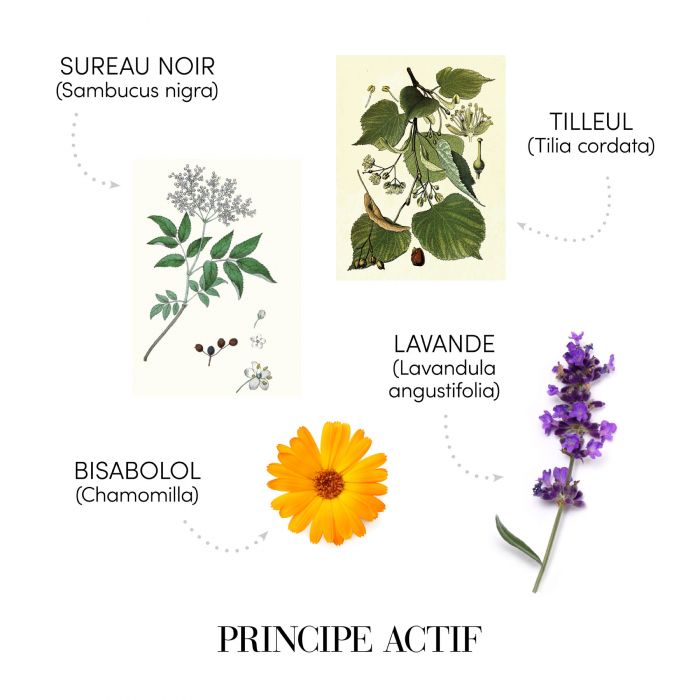 FIOLE RELAXANTE PENTRU SCALP 6ML x 12FL