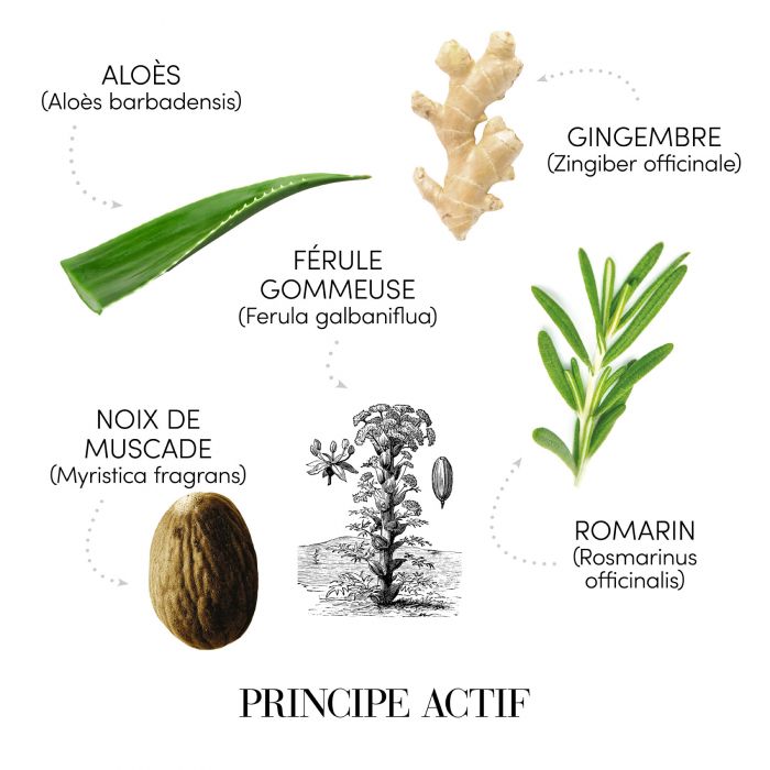 FIOLE ANTIMATREATA 12FL x 6ML