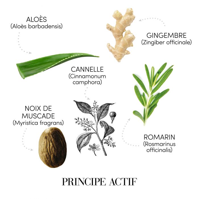 FIOLE ANTICADERE BARBATI 13FL x 6ML