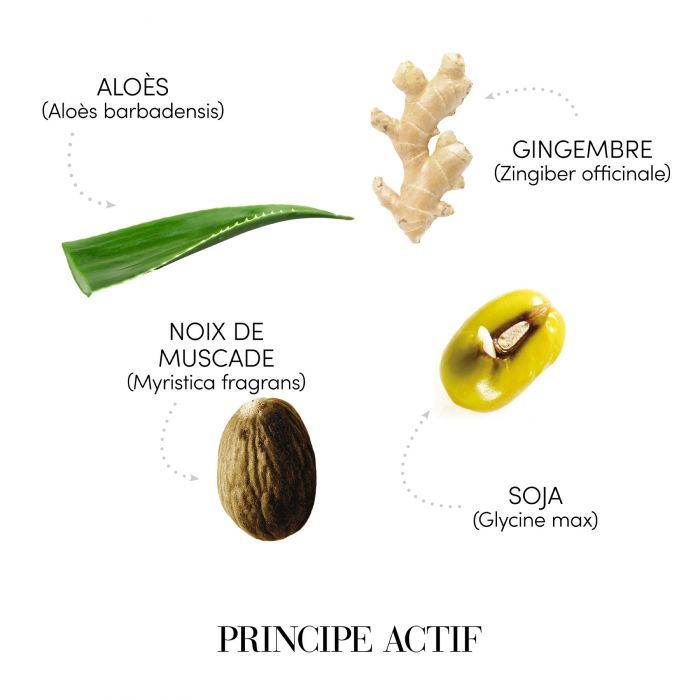 FIOLE ANTISEBUM 12FL x 6ML