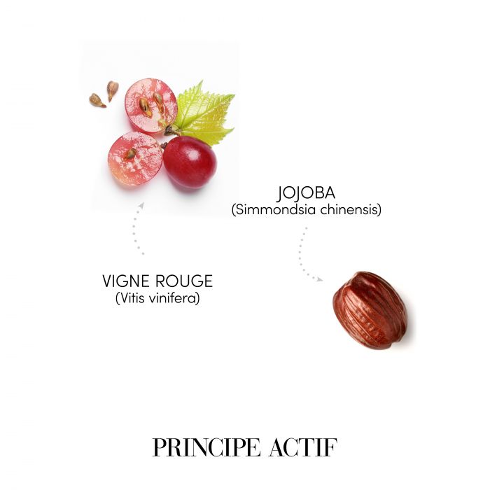 SAMPON PAR CRET 250ML