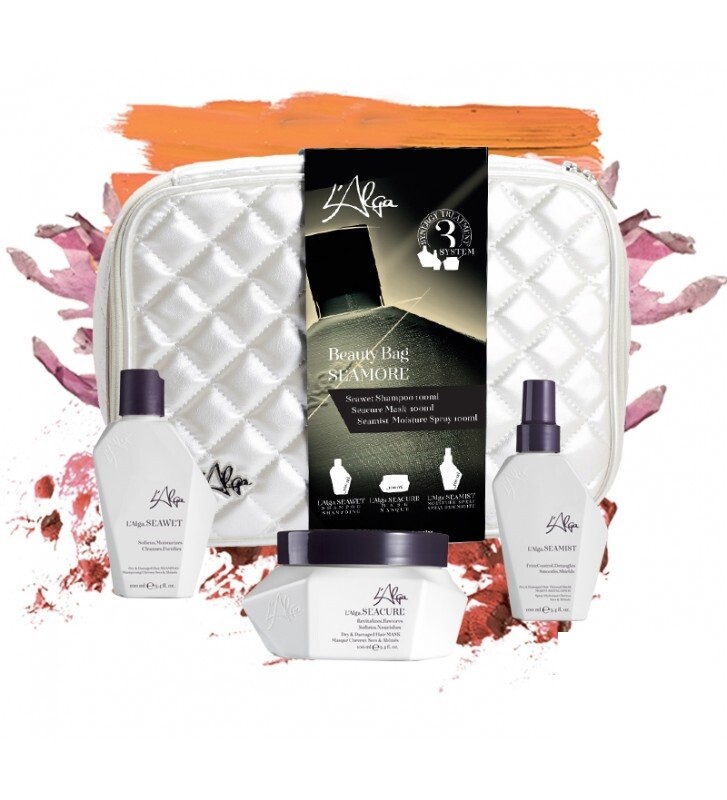 GEANTA DE FRUMUSETE PENTRU PAR DETERIORAT