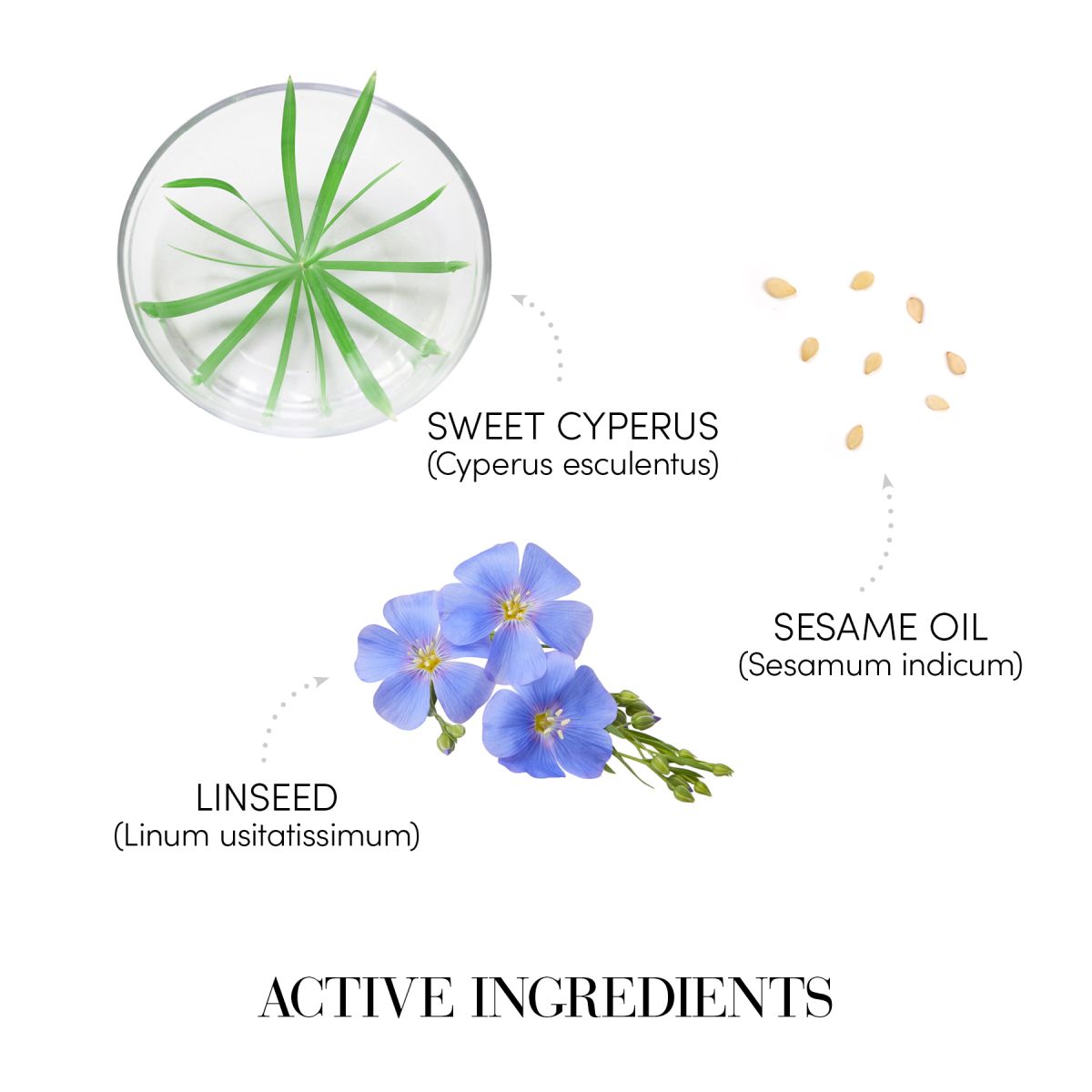 FIOLE UMPLERE SI RECONSTRUCTIE 12FL x 10ML