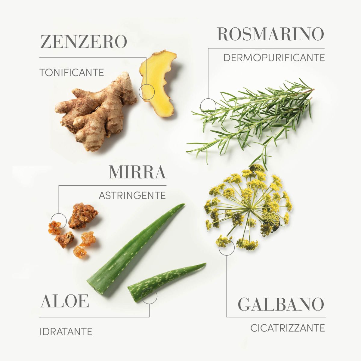 SPRAY ANTISEBUM 100ML